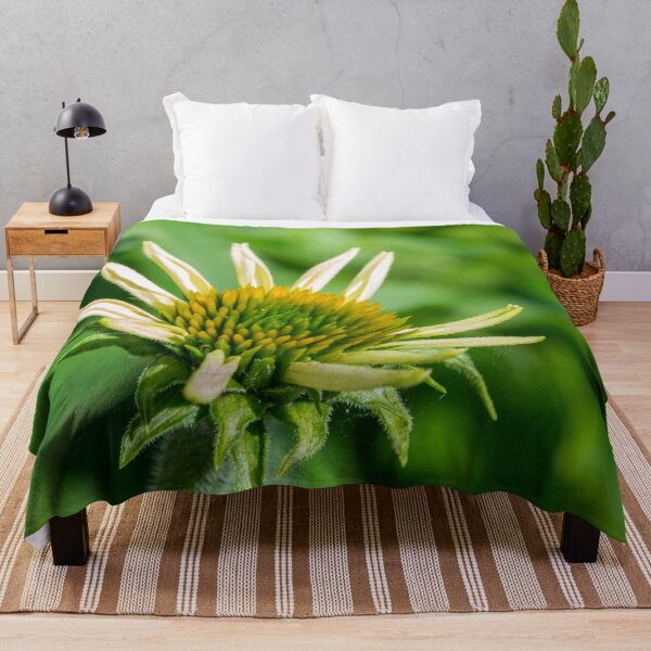 Item preview, Coneflower New Beginnings designed and sold by Debra Martz.