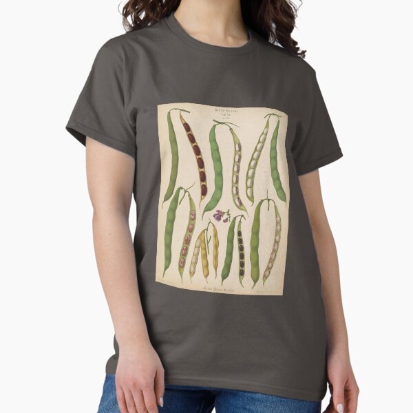 Aperçu de l'œuvre Variétés de haricots botaniques vintage créée et vendue par newnouveau.