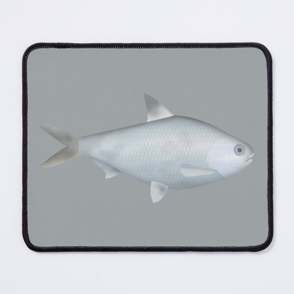 Item preview, Bony Bream designed and sold by fishfolkart.