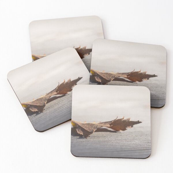 Item preview, Dry leaf designed and sold by StohlerPhotos.