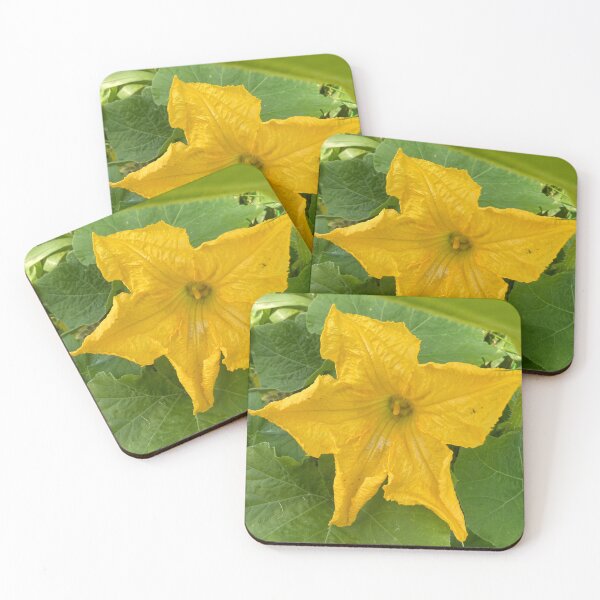 Item preview, Big Squash Flower designed and sold by Amanda1775.