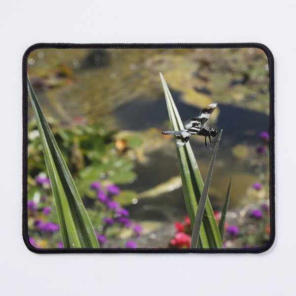 Item preview, Dragonfly dynamic designed and sold by picturedlcphoto.