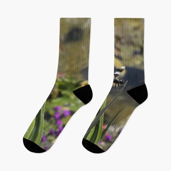 Item preview, Dragonfly dynamic designed and sold by picturedlcphoto.