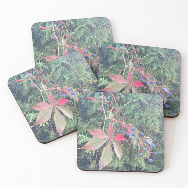 Item preview, Autumn Vine with Berries in front of Evergreens  designed and sold by Amanda1775.