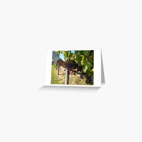 Item preview, Italian grapes designed and sold by Optimistoart.