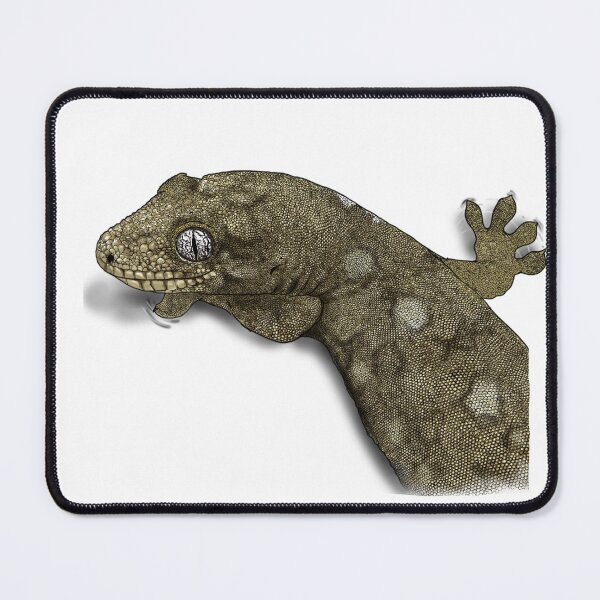 Item preview, Rhacodatylus trachycephalus designed and sold by TsyenD-art.