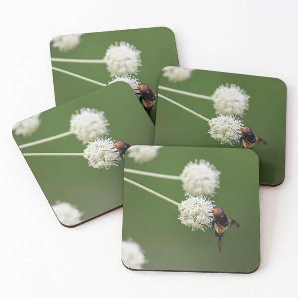 Item preview, The ball wanted.  Pellucid fly designed and sold by Jouko Lehto Photography.