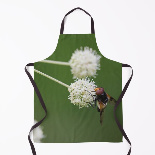 Item preview, The ball wanted. Pellucid fly designed and sold by Jouko Lehto Photography.