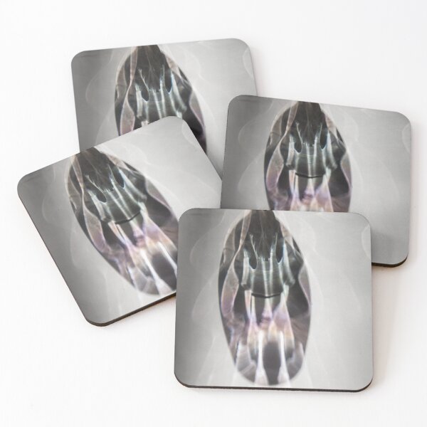 Item preview, Glass and Light: Reflections in Motion - 2 designed and sold by Alexei Quintero Photography.