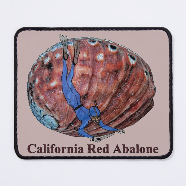 Item preview, Vintage Red Abalone Shell with a Freediving Diver URM designed and sold by urmaddad.