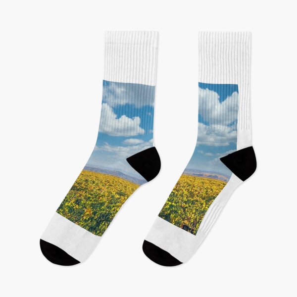 Item preview, Vineyard landscape,sunny autumn day, agriculture designed and sold by goceris.