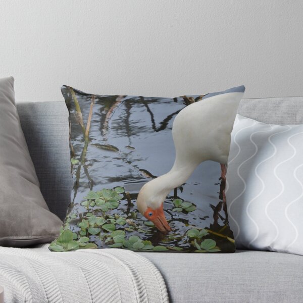 Aperçu de l'œuvre Water Bird créée et vendue par kathyholliker.