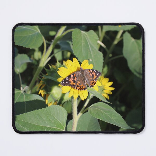 Item preview, Painted lady butterfly 3 designed and sold by McFleur's Lens.