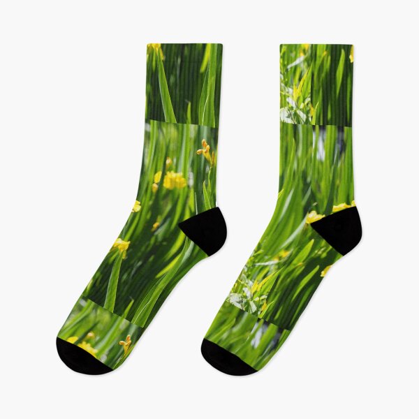 Item preview, Yellow Iris designed and sold by woolcos.