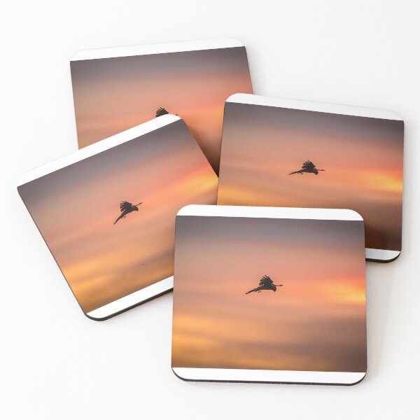 Item preview, Kestrel silhouette  designed and sold by Mothboybrown.