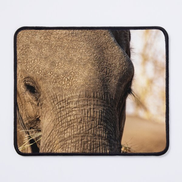 Item preview, Elephant Eye designed and sold by Kay Brewer.