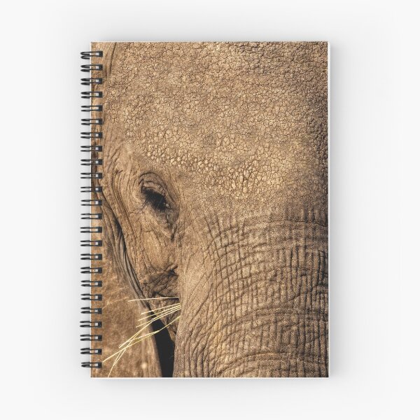 Item preview, Elephant Eye designed and sold by Kay Brewer.