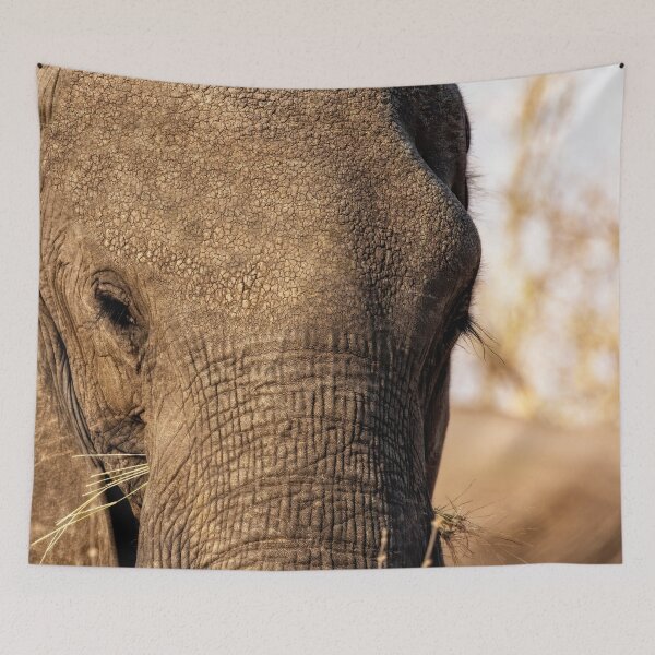 Item preview, Elephant Eye designed and sold by Kay Brewer.