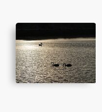 Onka Birds Canvas Print
