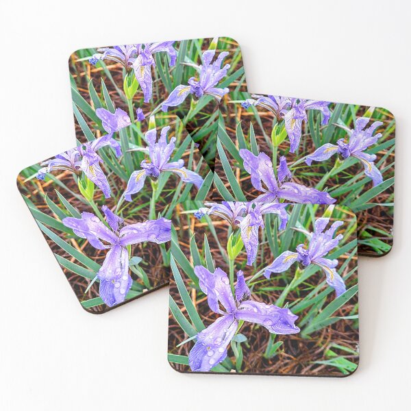 Item preview, Rocky Mountain Irises After Rain designed and sold by FloresInColor1.
