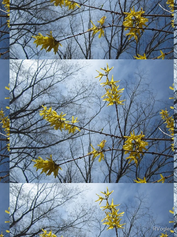 Thumbnail 3 of 3, Scarf, Spring Fling designed and sold by RVogler.