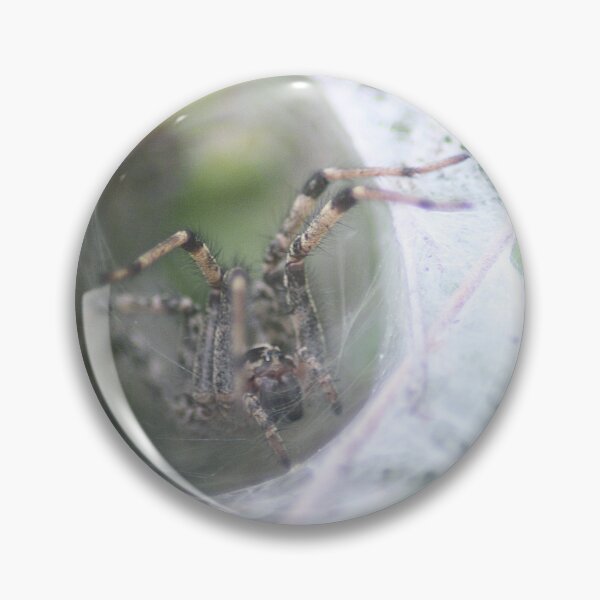 Item preview, Spider Chilling in Web designed and sold by HematiteDesign.