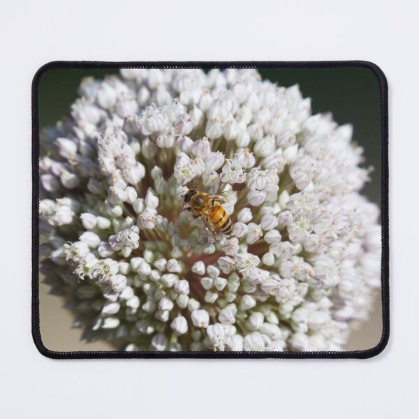 Item preview, Bee on Onion Flower designed and sold by HematiteDesign.