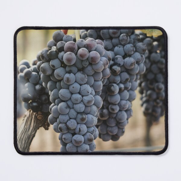 Item preview, Wine Grapes designed and sold by Myra365Art.
