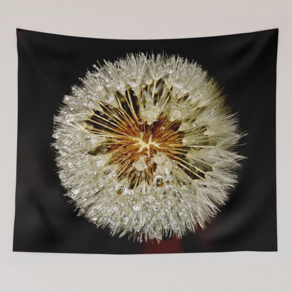 Item preview, Dandelion Clock designed and sold by AnnDixon.