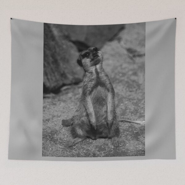 Item preview, meerkat photography designed and sold by devil0035.