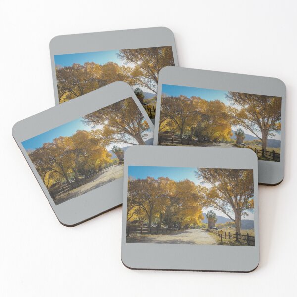Item preview, Fall Colors at Big Morongo Canyon Preserve, California designed and sold by Scenic West - Photos by Angel.