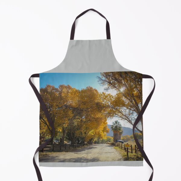 Item preview, Fall Colors at Big Morongo Canyon Preserve, California designed and sold by Scenic West - Photos by Angel.