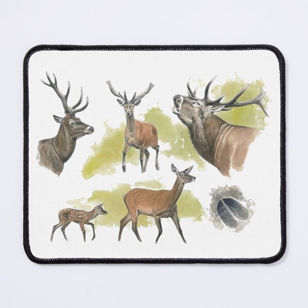 Item preview, Red Deer (Cervus elaphus) Wildlife art designed and sold by AzalaiBubbles.