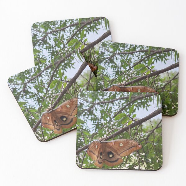 Item preview, Polyphemus Moth designed and sold by Hannah M..