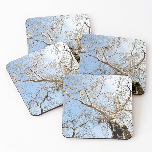 Item preview, After the leaves have fallen designed and sold by Joel Bader.