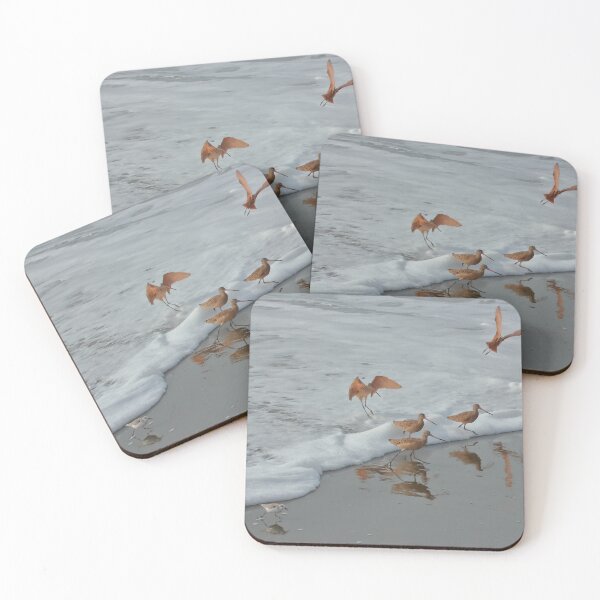 Item preview, Godwits and Plover designed and sold by outdoorstudio.