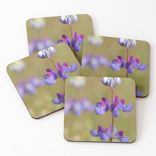 Artikelvorschau, Lupine entworfen und verkauft von outdoorstudio.