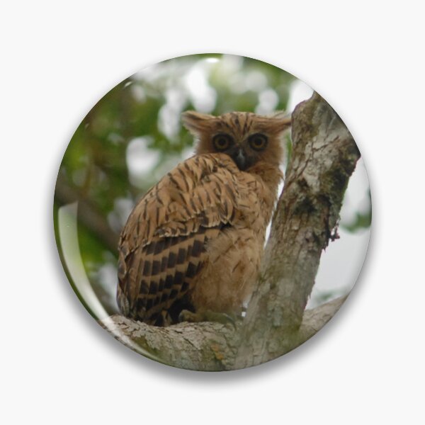 Item preview, Malay fish owl designed and sold by tanavi01.