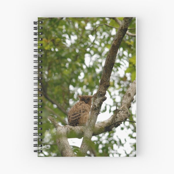 Item preview, Malay fish owl designed and sold by tanavi01.