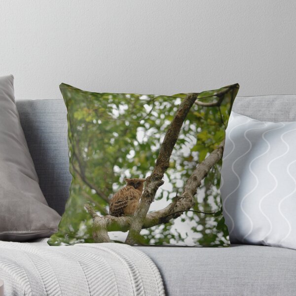 Item preview, Malay fish owl designed and sold by tanavi01.