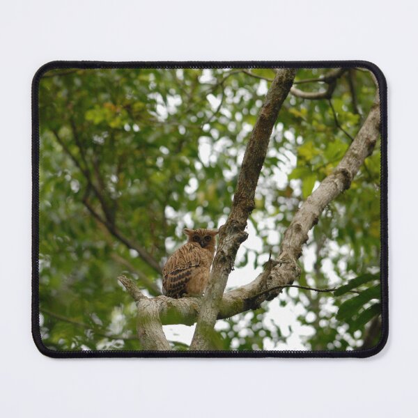 Item preview, Malay fish owl designed and sold by tanavi01.