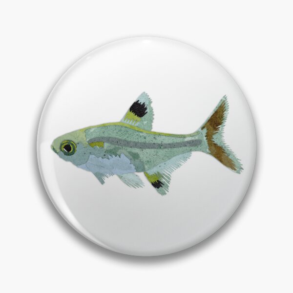 Item preview, X-ray Tetra designed and sold by SunkissedBlue.