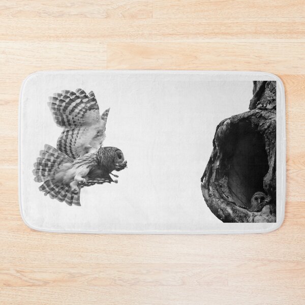 Item preview, Mama Barred owl bringing food to its baby designed and sold by Puttaswamy Ravishankar.