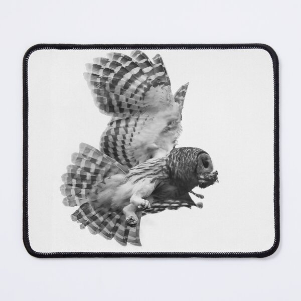 Item preview, Mama Barred owl bringing food to its baby designed and sold by Puttaswamy Ravishankar.
