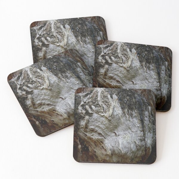 Item preview, Old burns on gnarls. Seitseminen 2024 designed and sold by Jouko Lehto Photography.