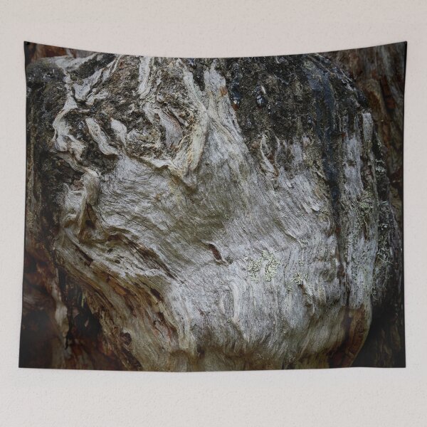 Item preview, Old burns on gnarls. Seitseminen 2024 designed and sold by Jouko Lehto Photography.
