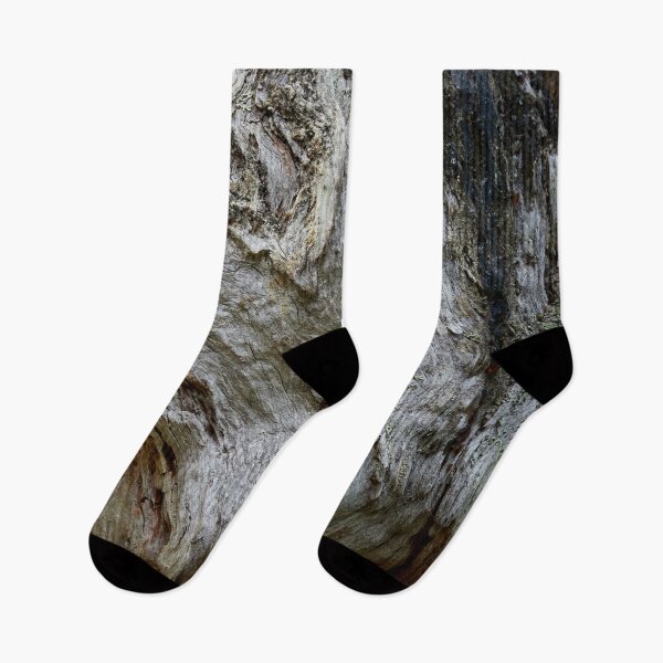 Item preview, Old burns on gnarls. Seitseminen 2024 designed and sold by Jouko Lehto Photography.