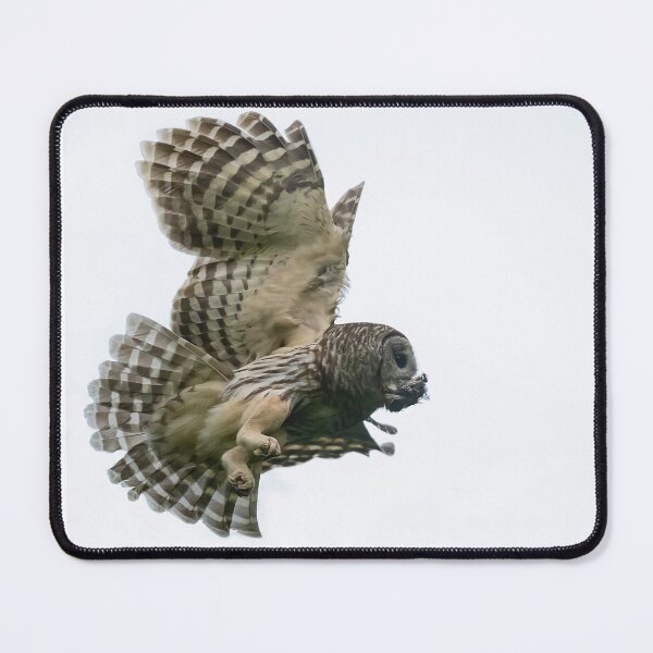 Item preview, Flying in to Feed designed and sold by Puttaswamy Ravishankar.