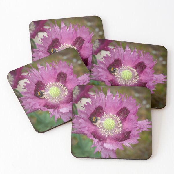 Item preview, Poppy and the Bumblebee designed and sold by Jouko Lehto Photography.