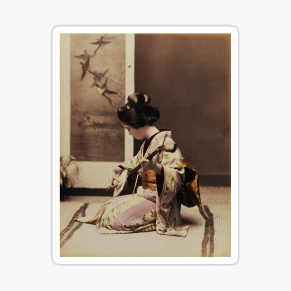 Modelo retrato disfraz moda bastante asiática dama fondo mujeres elegancia  cultura japonesa joven belleza hembra tradición pelo cara kimono atractivo  vestido estilo persona asia